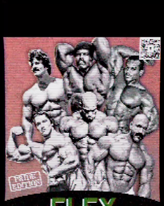MEGA FLEX: PRIDE EDITION