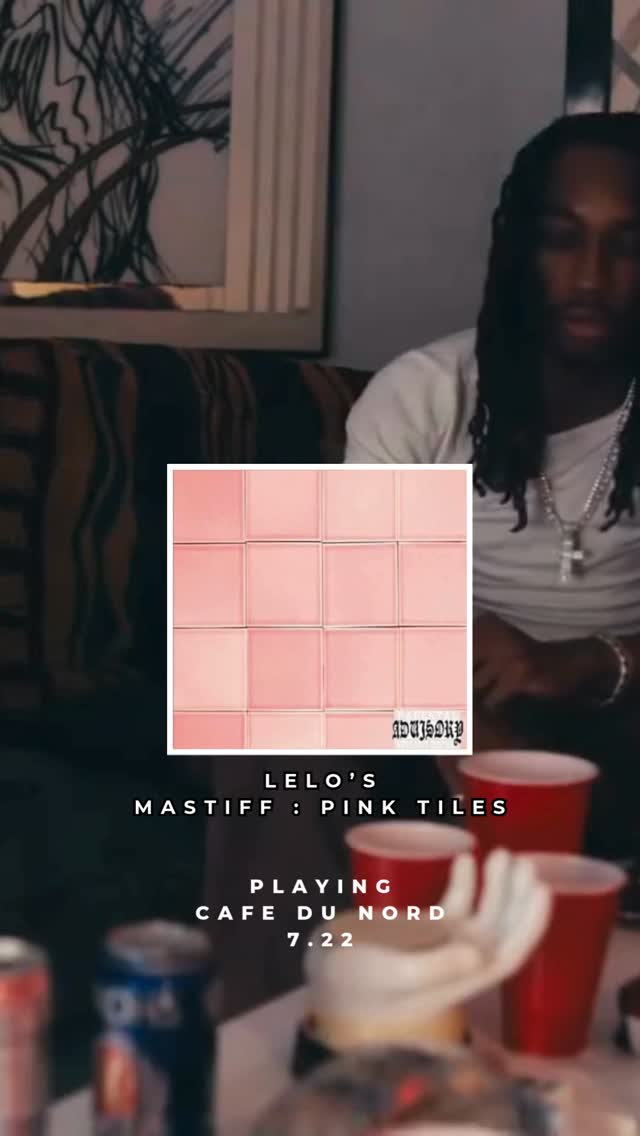 Lelo's Mastiff: Pink Tiles