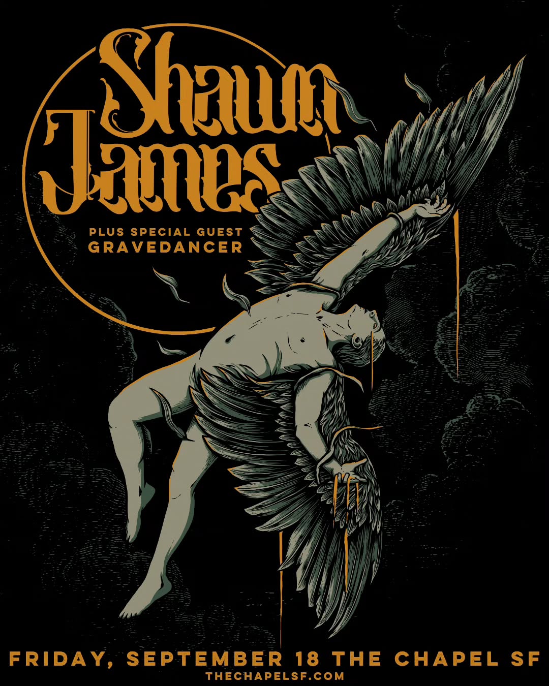 Shawn James - Flew Too Close To The Sun Tour